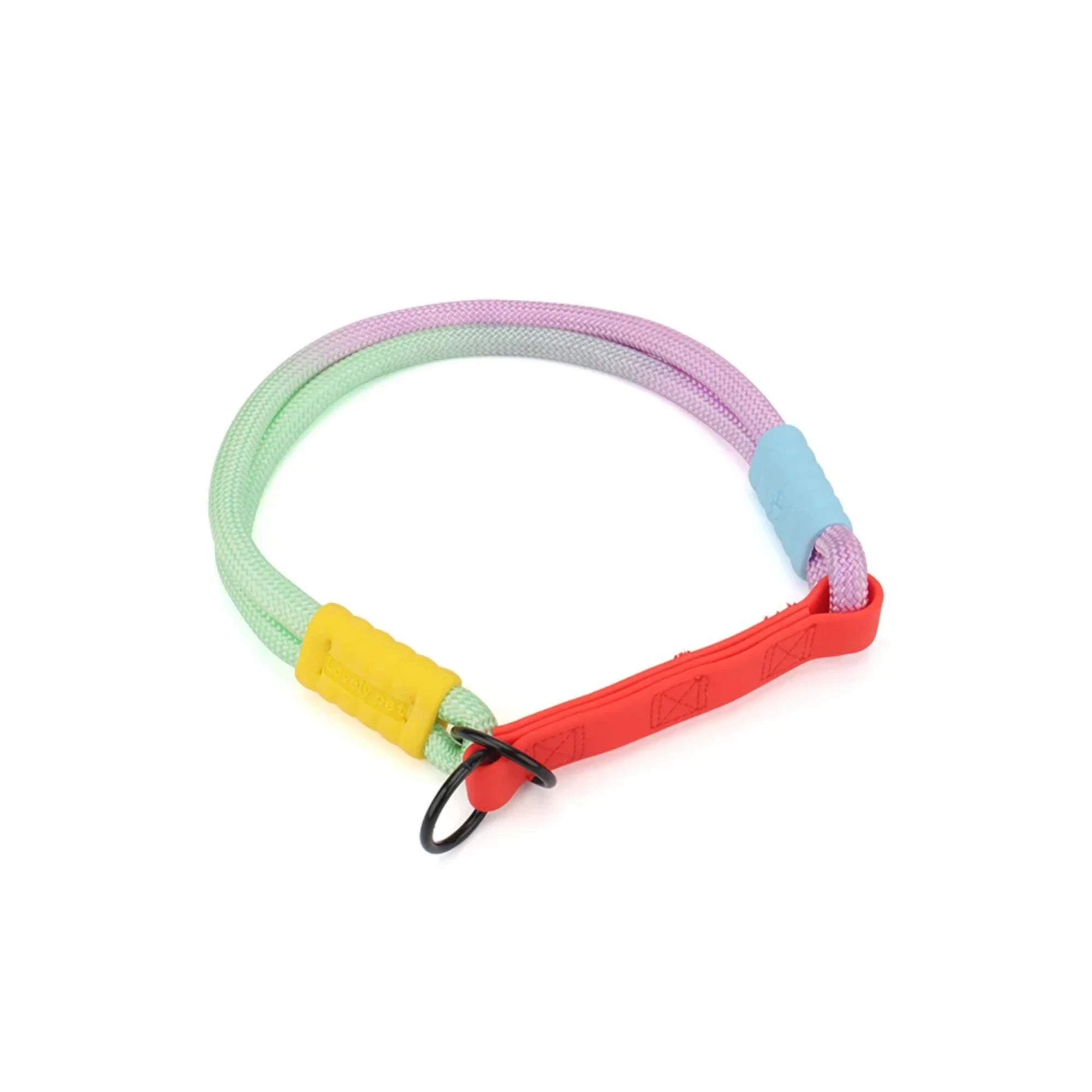 Colorful Dog Collar