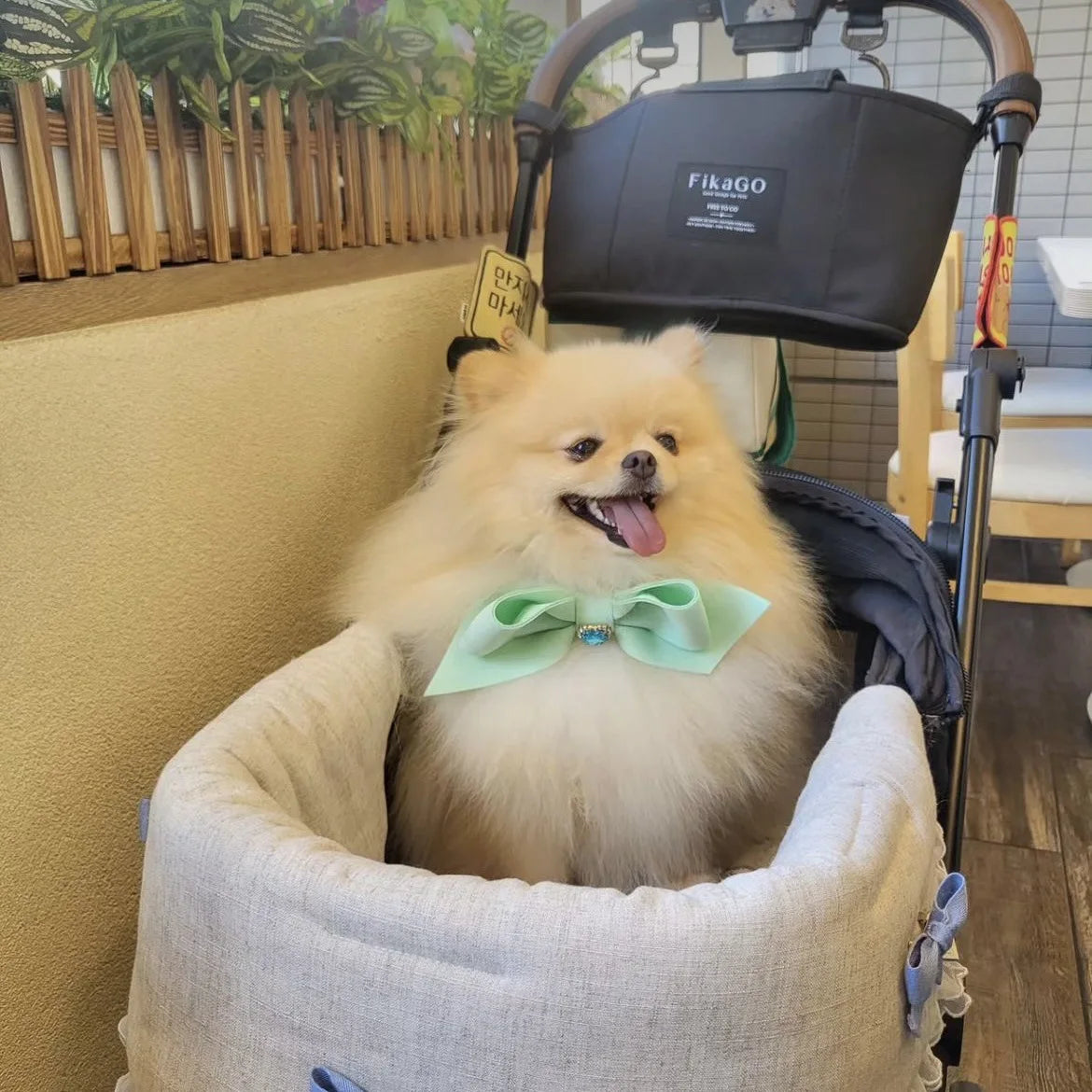 Bow Collar Pet Dog Necktie