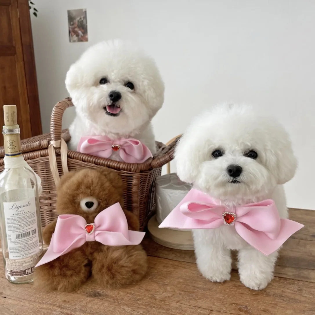 Bow Collar Pet Dog Necktie