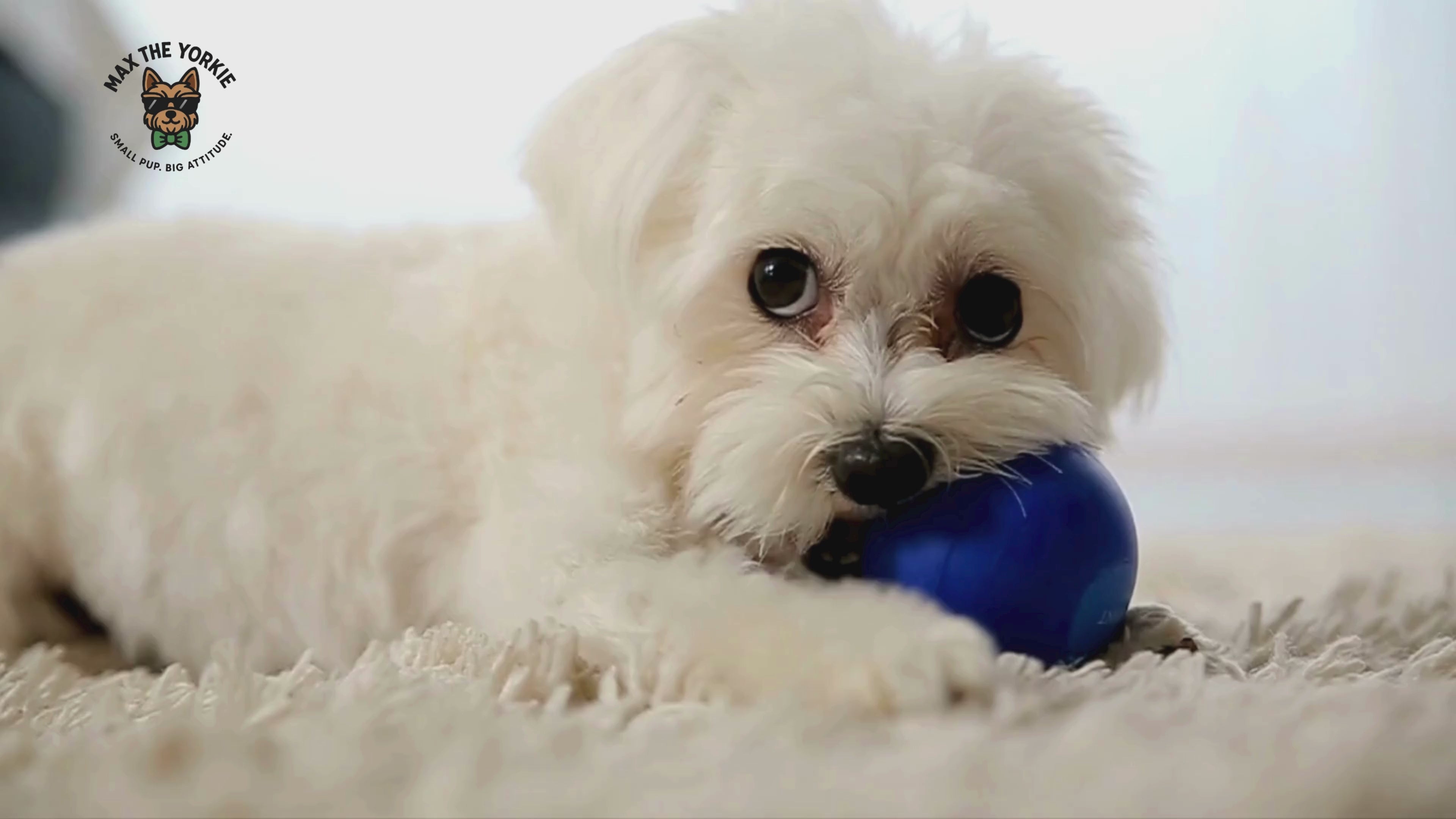 Load video: 